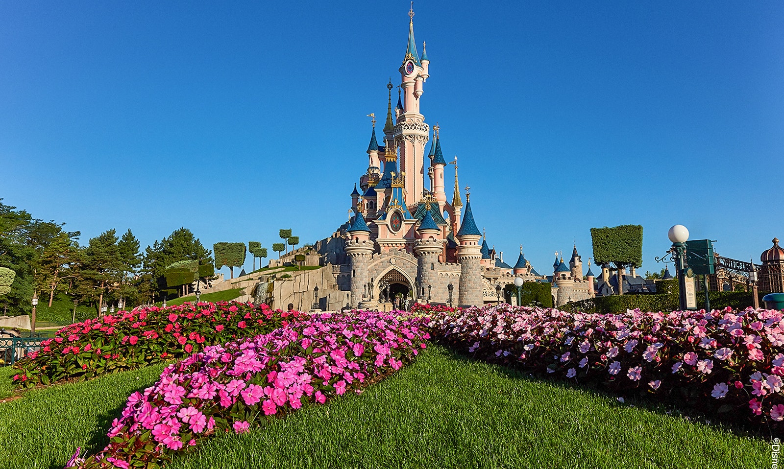 Het iconische roze kasteel in Disneyland Parijs bij zonsondergang