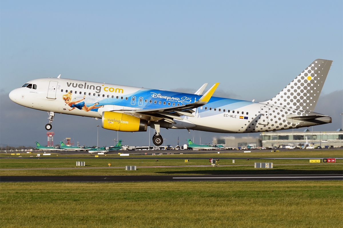 Vliegtuig met Disneyland Paris livery (voorbeeld)