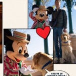 Geleidehond op het werk – foto 06 bij Disneyland Paris