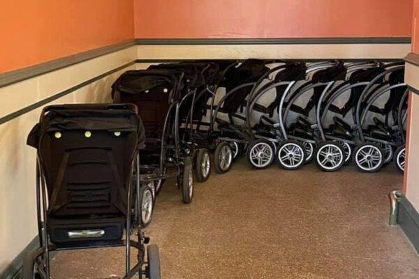 Verhuurde kinderwagens op een rij bij Disneyland Paris